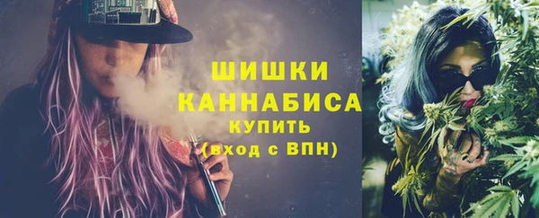 гашик Богородск