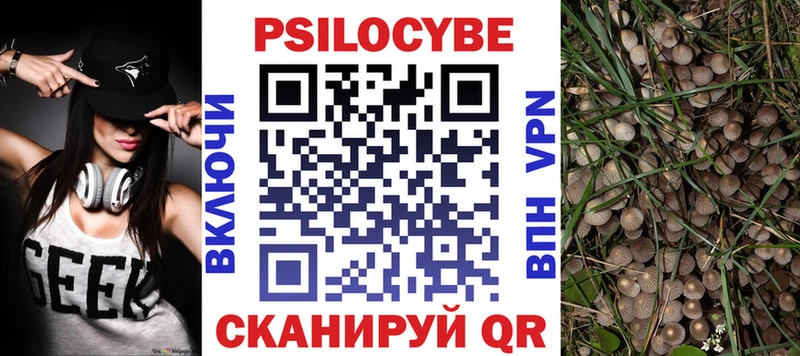 hydra вход  где можно купить наркотик  Киржач  Псилоцибиновые грибы Psilocybine cubensis 